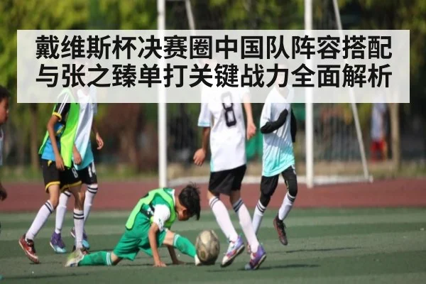 戴维斯杯决赛圈中国队阵容搭配与张之臻单打关键战力全面解析