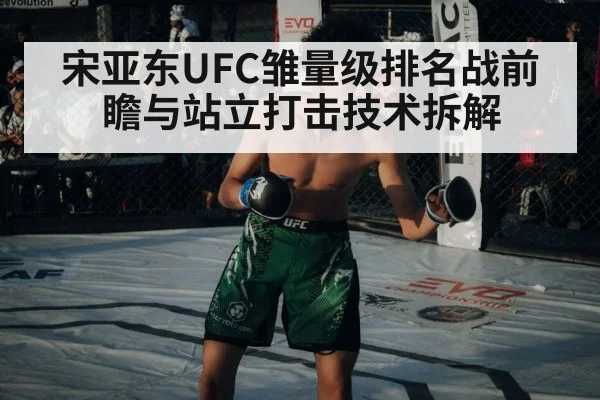 宋亚东UFC雏量级排名战前瞻与站立打击技术拆解